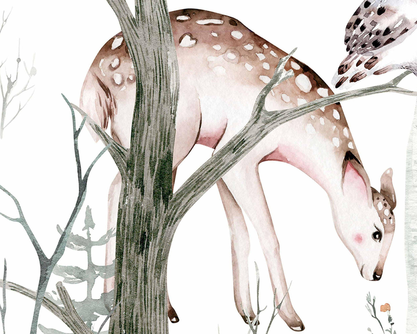 Animals In The Forest Wallpaper