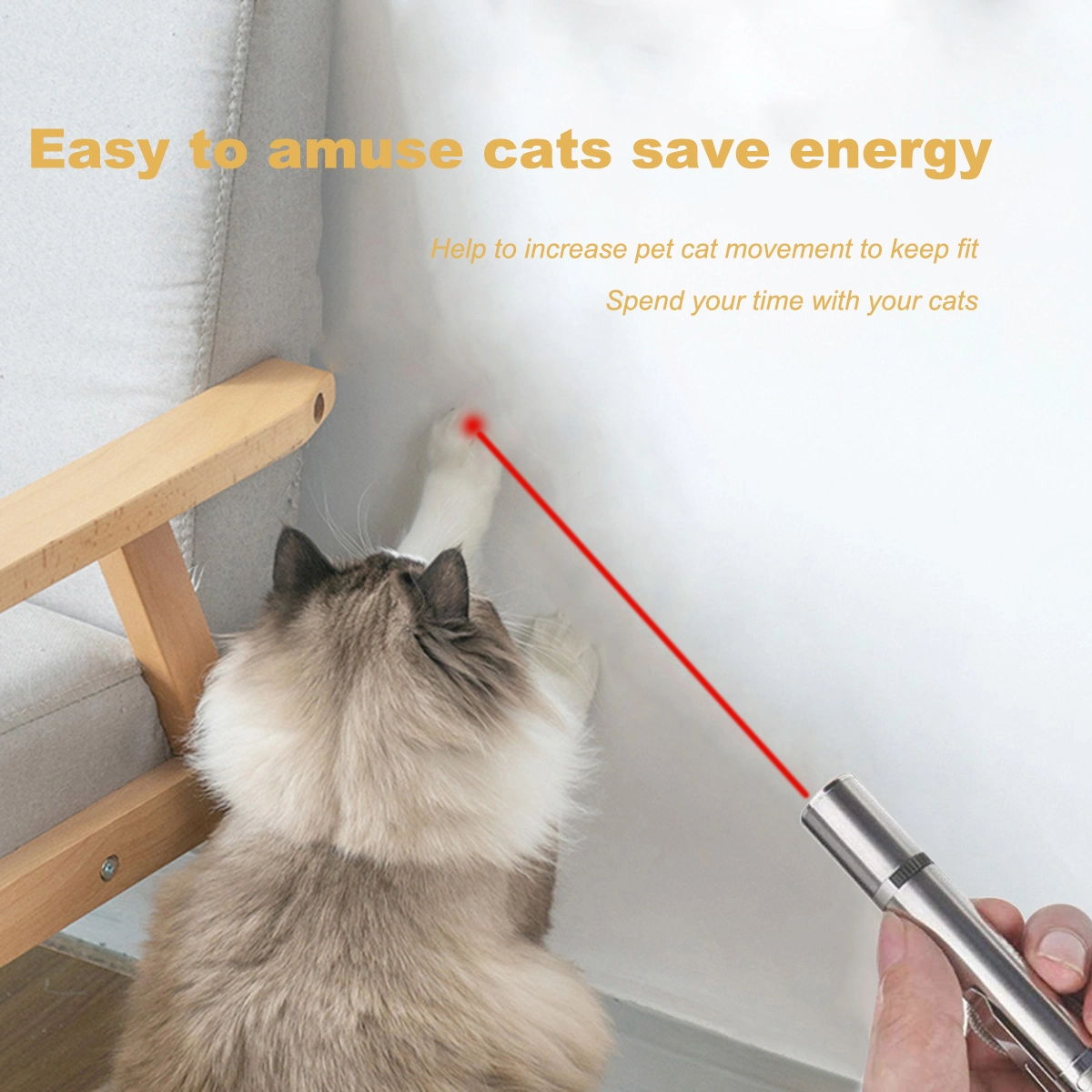 Pet Training Exercise Tool Cat Toys LED Pointer - Shopping Warriors