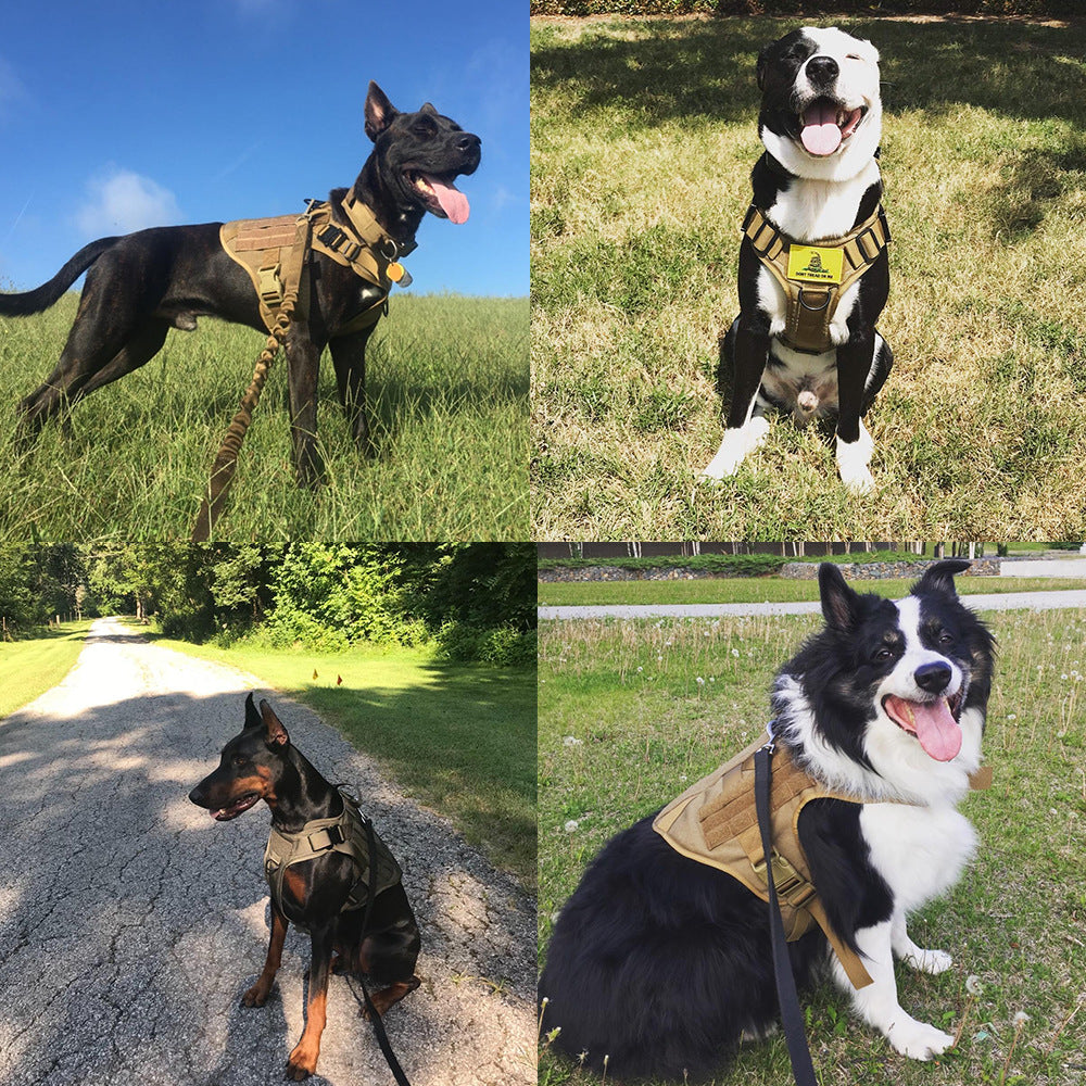 Military Dog Tactical Harness and Leash Set (Brown) - Shopping Warriors