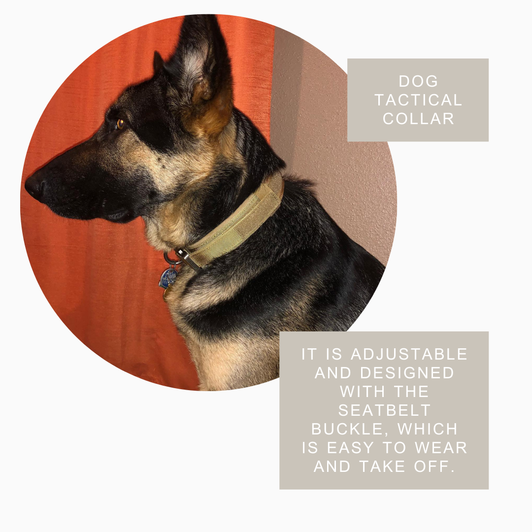 Durable Military Tactical Dog Collar - Shopping Warriors