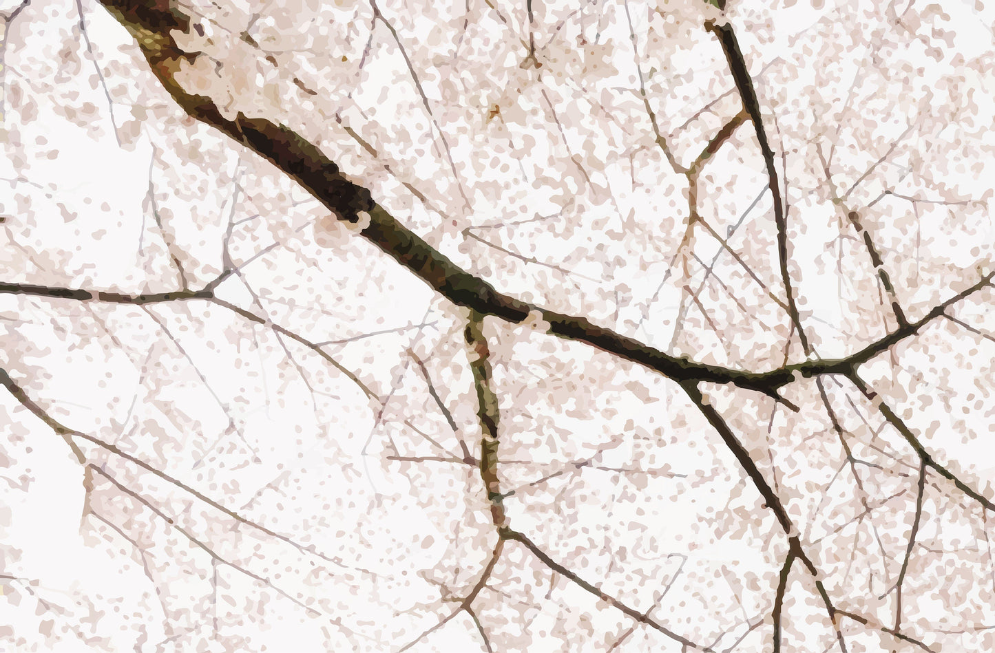 Cherry Blossom Mural Wallpaper