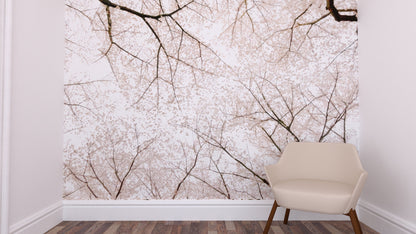 Cherry Blossom Mural Wallpaper