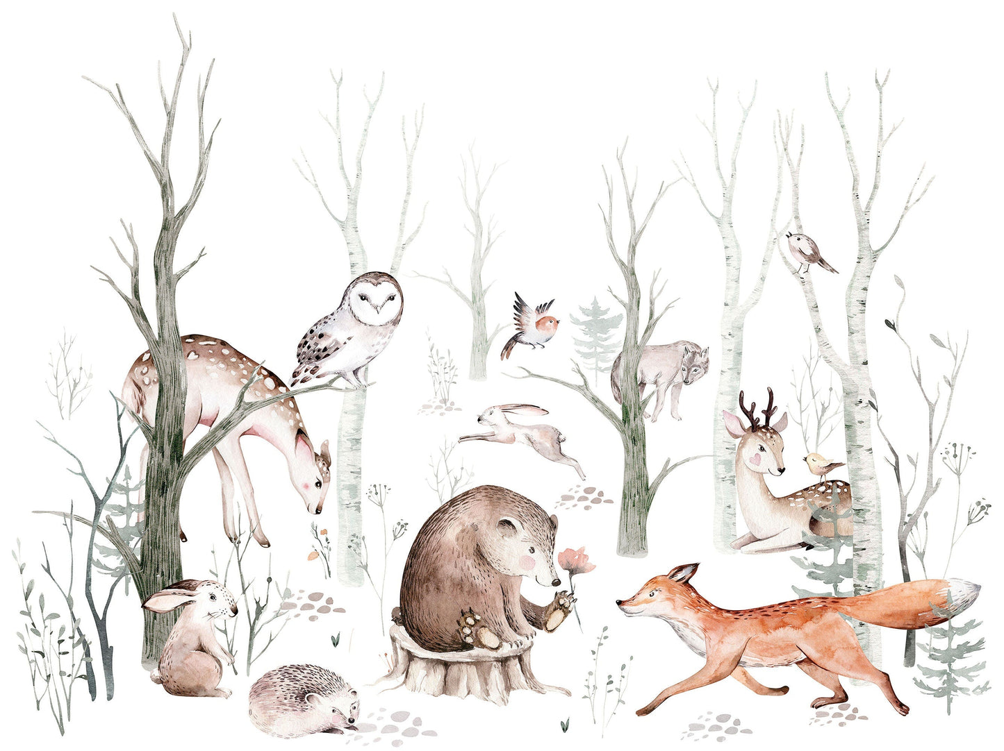 Animals In The Forest Wallpaper